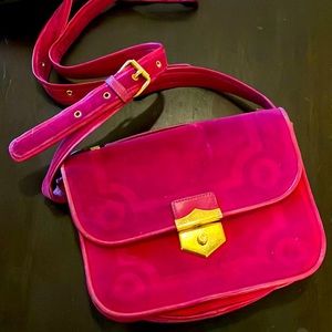 Alexander McQueen Wicca Velvet-Covered Leather Shoulder Bag